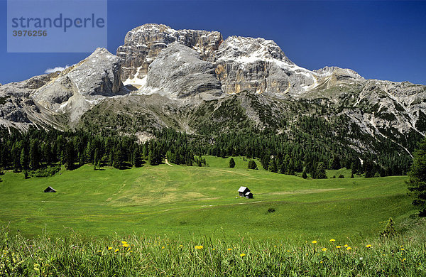 Plätzwiese  Hohe Gaisl  Pragser Dolomiten  Südtirol  Italien  Europa