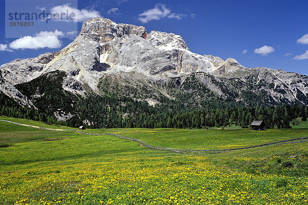 Plätzwiese  Hohe Gaisl  Pragser Dolomiten  Südtirol  Italien  Europa