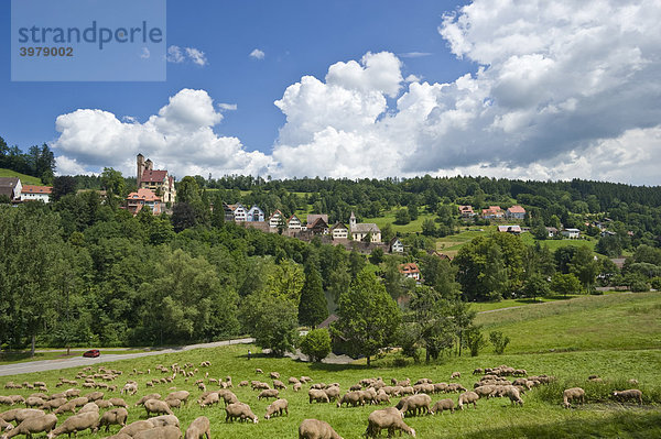 Burg Berneck  Berneck Altensteig  Baden-Württemberg  Deutschland  Europa