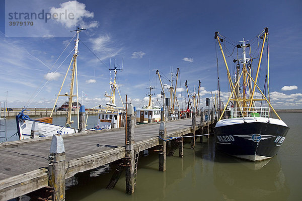 Fischkutter im Hafen von Havneby  Insel R¯m¯  T¯nder  Dänemark  Europa