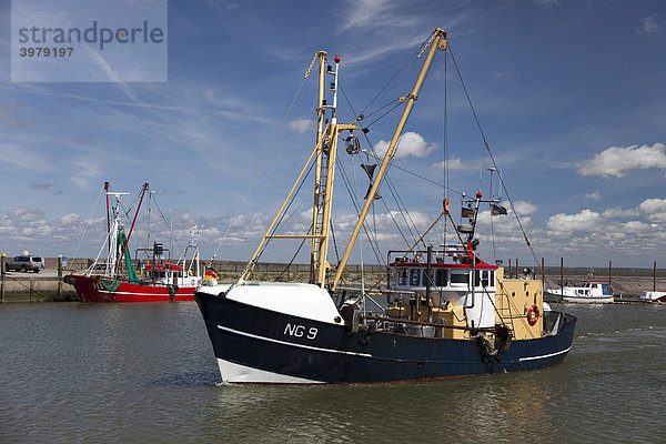 Fischkutter im Hafen von Havneby  Insel R¯m¯  T¯nder  Dänemark  Europa