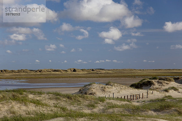 Dünenlandschaft am Strand der Insel R¯m¯  T¯nder  Dänemark  Europa