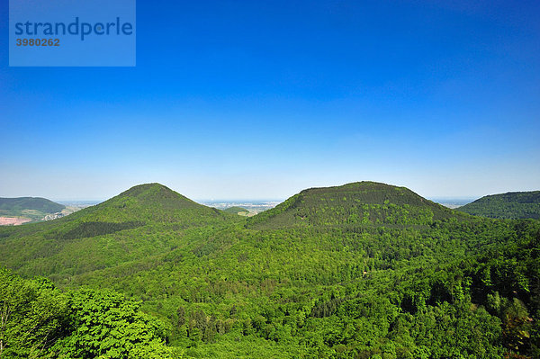 Landschaftspanorama von der Burg Trifels herab  Annweiler  Naturpark Pfälzerwald  Pfalz  Rheinland-Pfalz  Deutschland  Europa