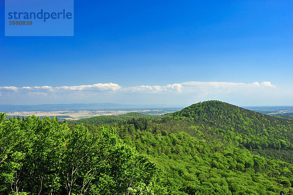 Burgruine Guttenberg  Panorama auf Pfälzerwald und ins Rheintal  Oberotterbach  Naturpark Pfälzerwald  Pfalz  Rheinland-Pfalz  Deutschland  Europa