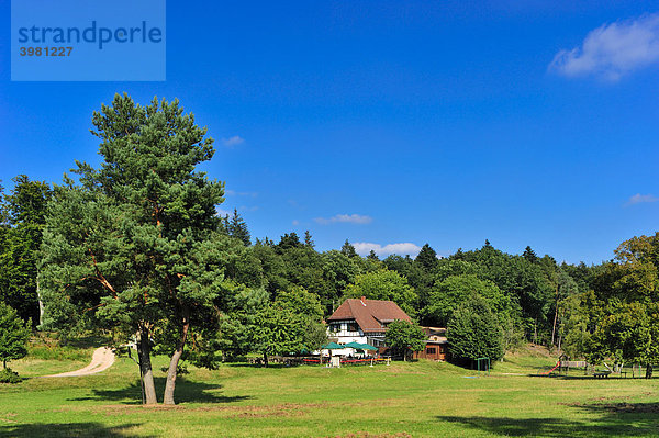 Annweiler Forsthaus  Annweiler  Naturpark Pfälzerwald  Pfalz  Rheinland-Pfalz  Deutschland  Europa