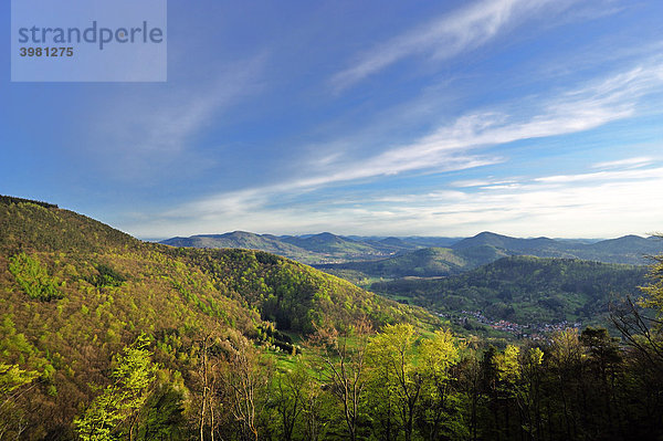 Blick von der Burgruine Neuscharfeneck über den Pfälzer Wald  Dernbach  Naturpark Pfälzerwald  Pfalz  Rheinland-Pfalz  Deutschland  Europa