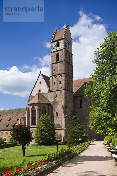 Klosterkirche  Alpirsbach  Baden-Württemberg  Deutschland  Europa