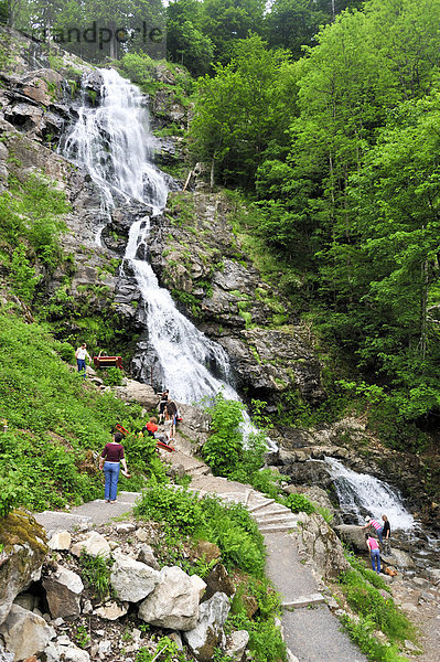 Todtnauer Wasserfälle  Todtnau  Schwarzwald  Baden-Württemberg  Deutschland  Europa