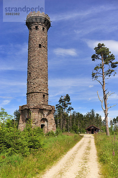 Friedrichsturm  Badener-Höhe  Westweg  Forbach  Schwarzwald  Baden-Württemberg  Deutschland  Europa