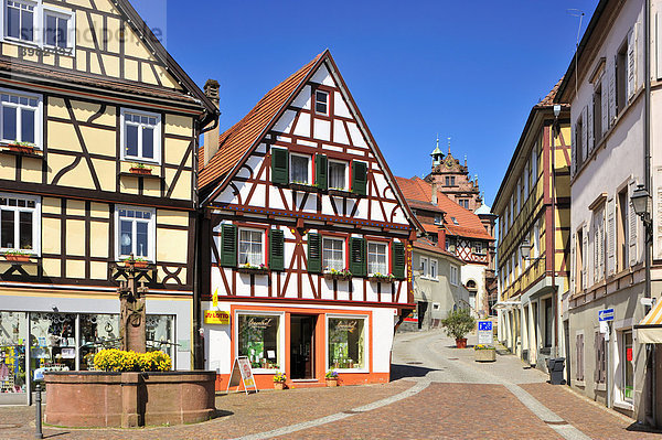 Altstadt Fachwerkfassaden  Gernsbach  Murgtal  Schwarzwald  Baden-Württemberg  Deutschland  Europa