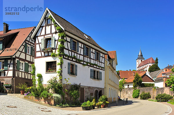 Fachwerkhäuser in der Altstadt mit Liebfrauenkirche  Gernsbach  Murgtal  Schwarzwald  Baden-Württemberg  Deutschland  Europa