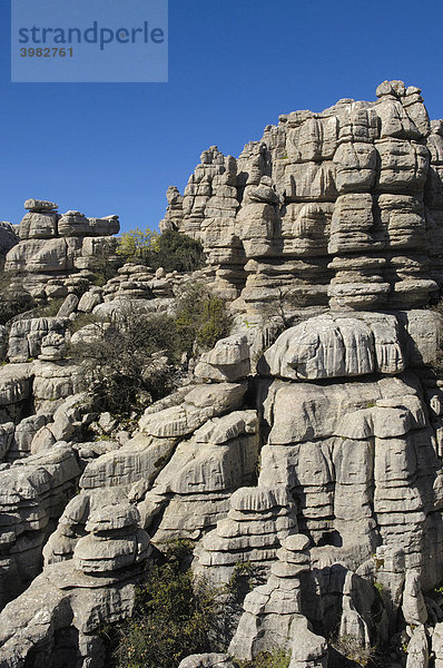 Erosion an Jura-Kalkstein  Torcal de Antequera Naturschutzgebiet  Provinz Malaga  Andalusien  Spanien  Europa