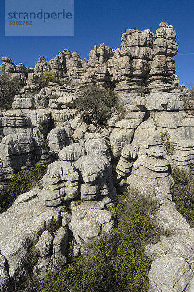 Erosion an Jura-Kalkstein  Torcal de Antequera Naturschutzgebiet  Provinz Malaga  Andalusien  Spanien  Europa