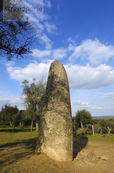 Der Menhir von Almendres in der Nähe von Evora  Alentejo  Portugal  Europa