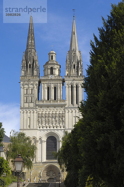Kathedrale von Angers  Maine-et-Loire  Frankreich  Europa