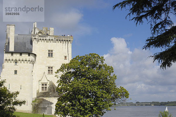 Schloss von Montsoreau  15. Jahrhundert  Maine et Loire  Frankreich  Europa