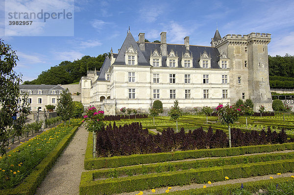 Schloss Villandry und Gärten  Ch‚teau de Villandry  Indre-et-Loire  Touraine  Loire  Frankreich  Europa