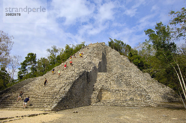 Nohoch Mul-Pyramide  Maya-Ruinen von Coba  Bundesstaat Quintana Roo  Riviera Maya  Halbinsel Yucatan  Mexiko