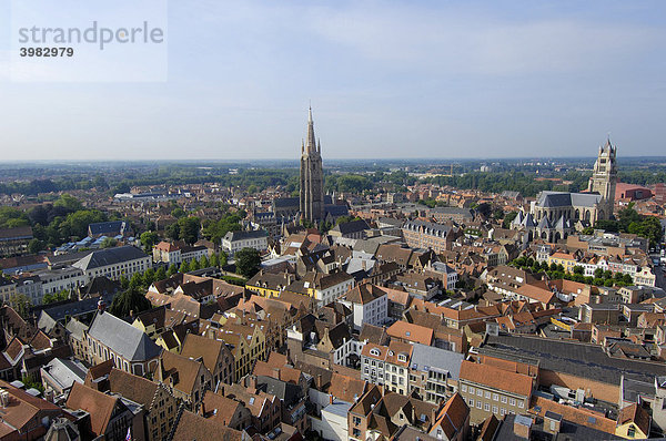 Sint-Salvator-Kathedrale  Blick vom Glockenturm  Brügge  Westflandern  Belgien  Europa