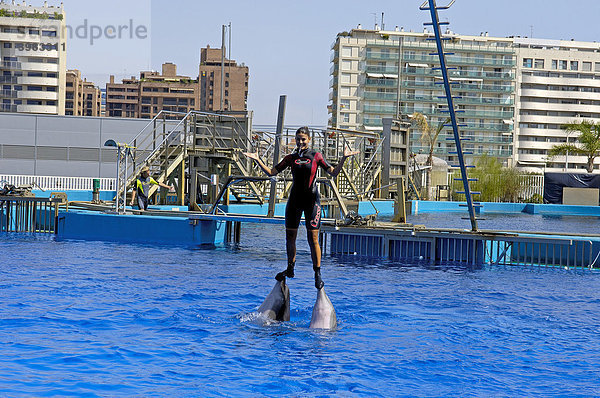 Delfin-Show im L'Oceanogr‡fic Aquarium  Stadt der Künste und Wissenschaften  entworfen von S. Calatrava  Comunidad Valenciana  Valencia  Spanien  Europa