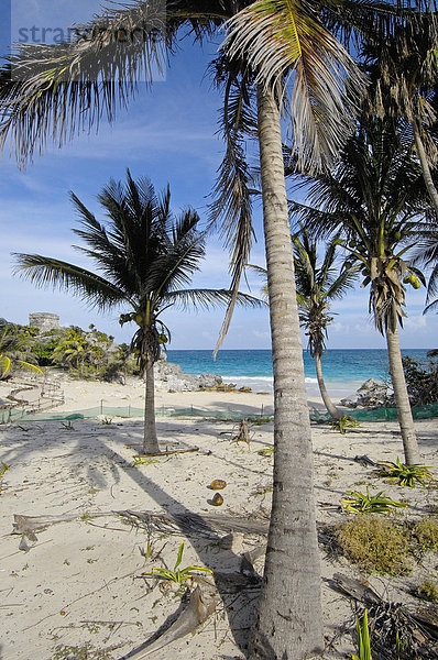 Strand bei den Maya-Ruinen von Tulum  Bundesstaat Quintana Roo  Riviera Maya  Yucatan Halbinsel  Mexiko