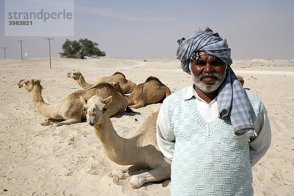 Kamelhüter in der Wüste bei Awali  Königreich Bahrain  Persischer Golf