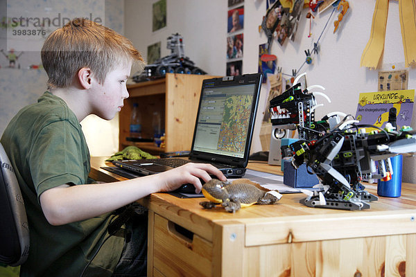 Junge  11 Jahre alt  arbeitet mit seinem Computer zuhause in seinem Kinderzimmer am Schreibtisch  übt für die Schule Erdkunde mit einer Landkarten Software