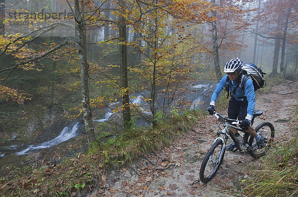 Mountainbike-Fahrerin im Herbst-Wald am Fluderbach bei Ried im Winkel  Chiemgauer Alpen  Bayern  Deutschland