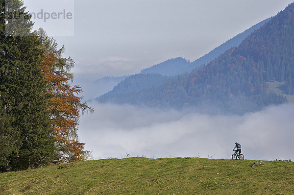 Mountainbike-Fahrerin im Herbst am Heuberg bei Nußdorf am Inn  Bayern  Deutschland