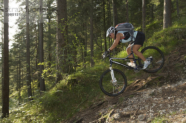 Mountainbike-Fahrerin auf Wurzeltrail im Wald bei Garmisch  Oberbayern  Bayern  Deutschland