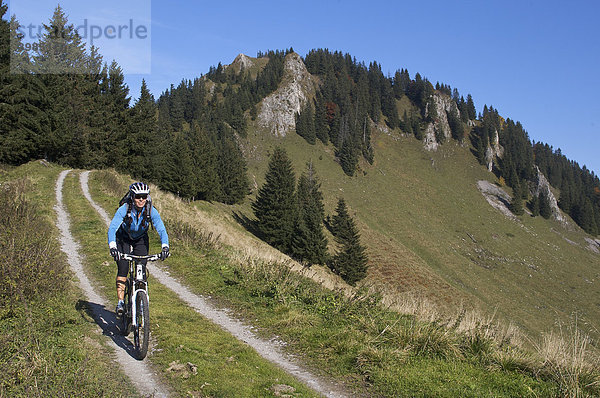 Mountainbike-Fahrerin im Herbst an der Hochries  dahinter Karkopf  Chiemgauer Alpen  Bayern  Deutschland