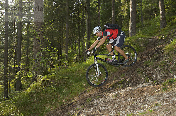 Mountainbike-Fahrer auf Wurzeltrail im Wald bei Garmisch  Oberbayern  Bayern  Deutschland
