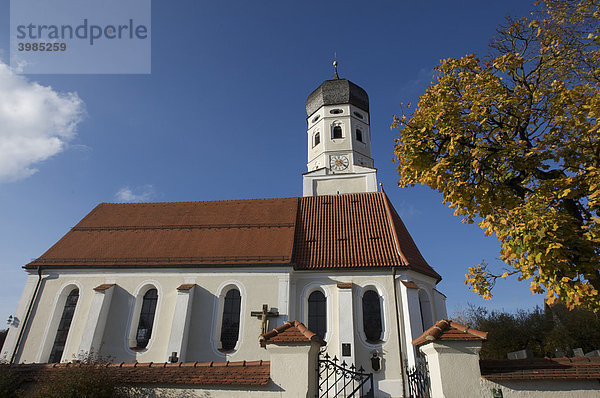 Kirche St. Vitus im Herbst  Erling  Gemeinde Andechs  Oberbayern  Bayern  Deutschland  Europa