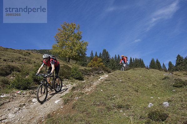 Mountainbike-Fahrer am Gaisberg  Rettenbach  Tirol  Österreich  Europa