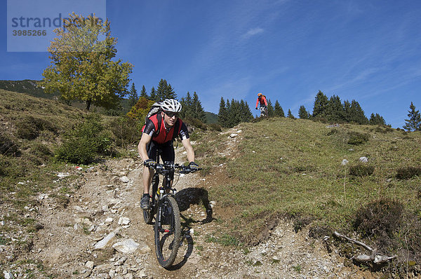 Mountainbike-Fahrer am Gaisberg  Rettenbach  Tirol  Österreich  Europa
