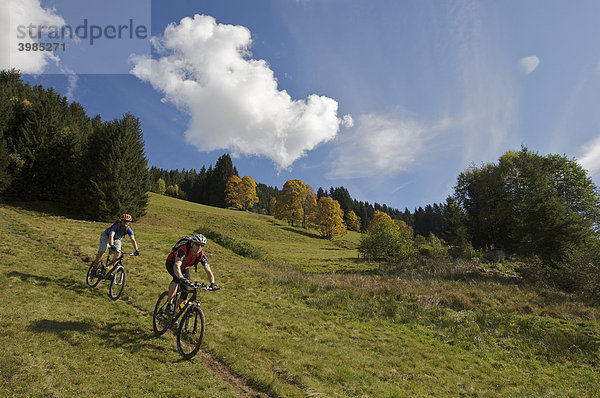 Mountainbike-Fahrer bei Aschau  Tirol  Österreich  Europa