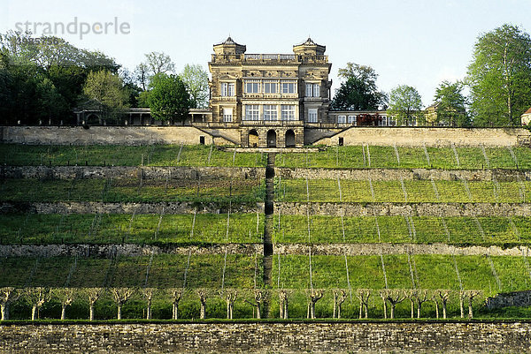 Villa Stockhausen  Lingner-Schloss  Bergseite mit Weinterrassen  Dresden  Sachsen  Deutschland  Europa