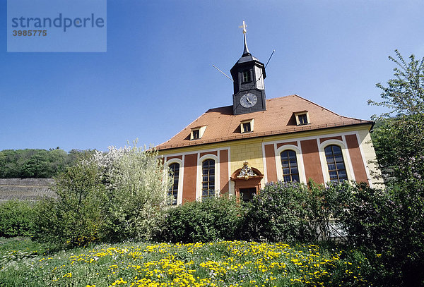 Kleine Wallfahrtskirche in den Weinbergen  Niederlößnitz  Radebeul  Sachsen  Deutschland  Europa