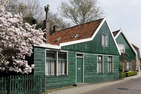 Typische Holzhäuser aus dem 17. Jahrhundert  altes Walfänger-Dorf Jisp  Wormerland  Provinz Nordholland  Niederlande  Europa