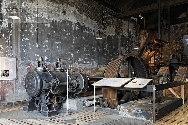 Historische Dampfmaschine mit Transmissionsanlage  Gesenkschmiede Hendrichs  LVR-Industriemuseum  Solingen  Nordrhein-Westfalen  Deutschland  Europa