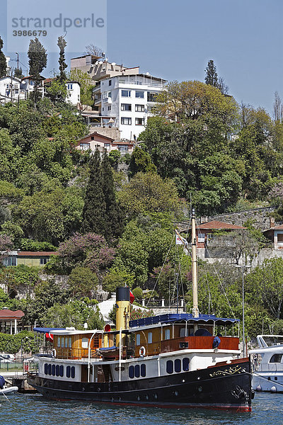 Historisches Dampfschiff am Bosporus-Ufer bei Arnavutköy  Istanbul  Türkei