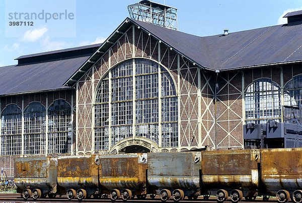 Reihe alter Kohleloren vor Maschinenhalle  ehemalige Zeche Zollern  LWL-Industriemuseum  Dortmund-Bövinghausen  Ruhrgebiet  Nordrhein-Westfalen  Deutschland  Europa