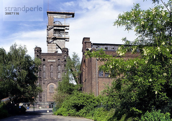 Malakowturm mit eingezogenem Fördergerüst  unrenovierter Zustand  Bergwerk Prosper II  Prosper-Haniel  Bottrop  Ruhrgebiet  Nordrhein-Westfalen  Deutschland  Europa