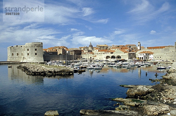 Hafen von Dubrovnik  Dalmatien  Kroatien
