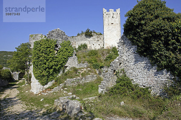 Überreste der Burg Dvigrad aus dem 17ten Jahrhundert  mittelalterliche Stadt  Rovinj  Istrien  Kroatien