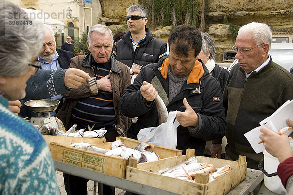 Fischer verkaufen frischen Fisch im Hafen Castellammare del Golfo  Sizilien  Italien  Europa