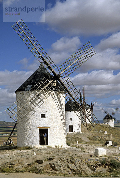 Don Quijote-Windmühlen  Consuegra  Castilla-La Mancha  Spanien  Europa