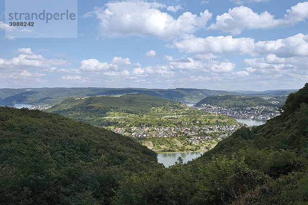 Aussichtspunkt Vierseenblick  der Rhein bei Boppard mit Blick auf Filsen  Rheinland-Pfalz  Deutschland  Europa