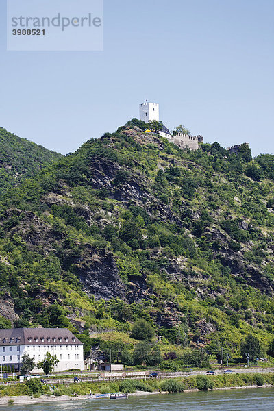 Burg Sterrenberg am Rhein  Oberes Mittelrheintal  Rheinland-Pfalz  Deutschland  Europa