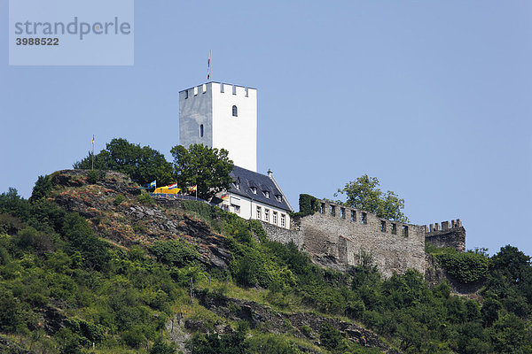 Burg Sterrenberg am Rhein  Oberes Mittelrheintal  Rheinland-Pfalz  Deutschland  Europa